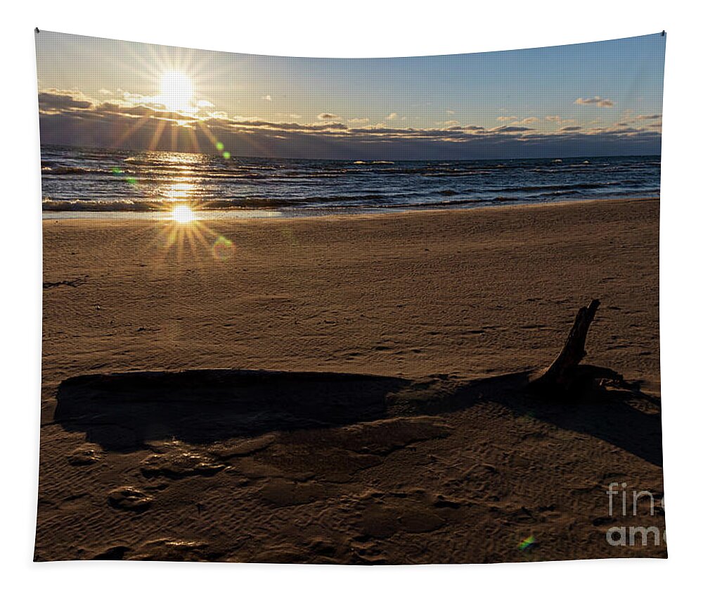 Sunrise Tapestry featuring the photograph Frozen sand sunrise 2 by Eric Curtin