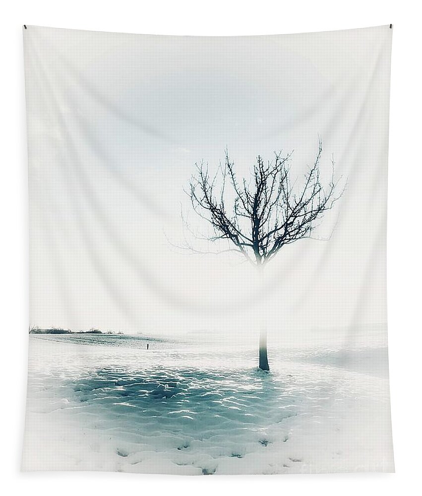 Winter Tapestry featuring the photograph Frozen Tree by Claudia Zahnd-Prezioso