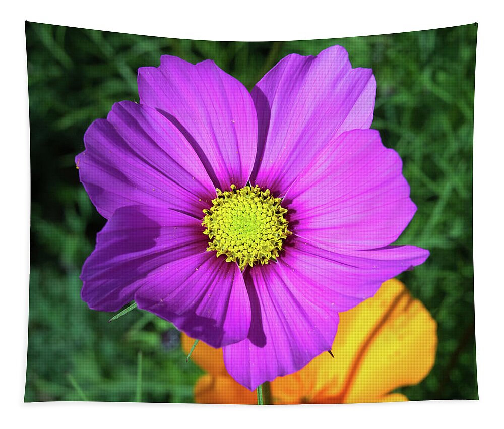 Art Tapestry featuring the photograph Fuchsia And Orange by David Desautel