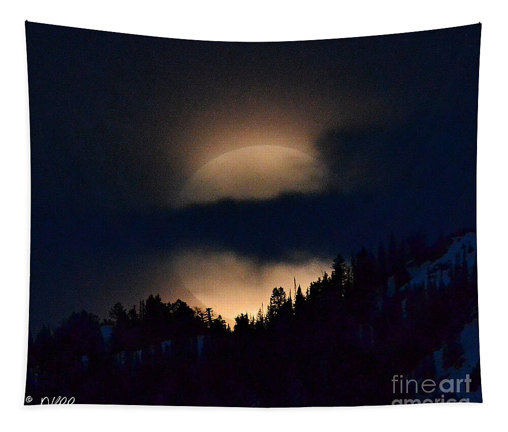 Full Moon Tapestry featuring the photograph Full Flower Moon #5 by Dorrene BrownButterfield