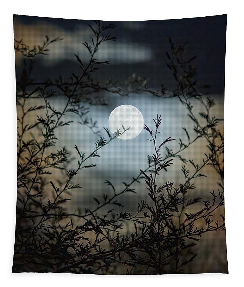 Arizona Tapestry featuring the photograph Full Moon Through Mesquite Branches by Teresa Wilson
