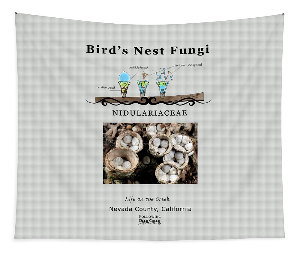 Fungi Tapestry featuring the digital art Fungi - Bird's Nest by Lisa Redfern