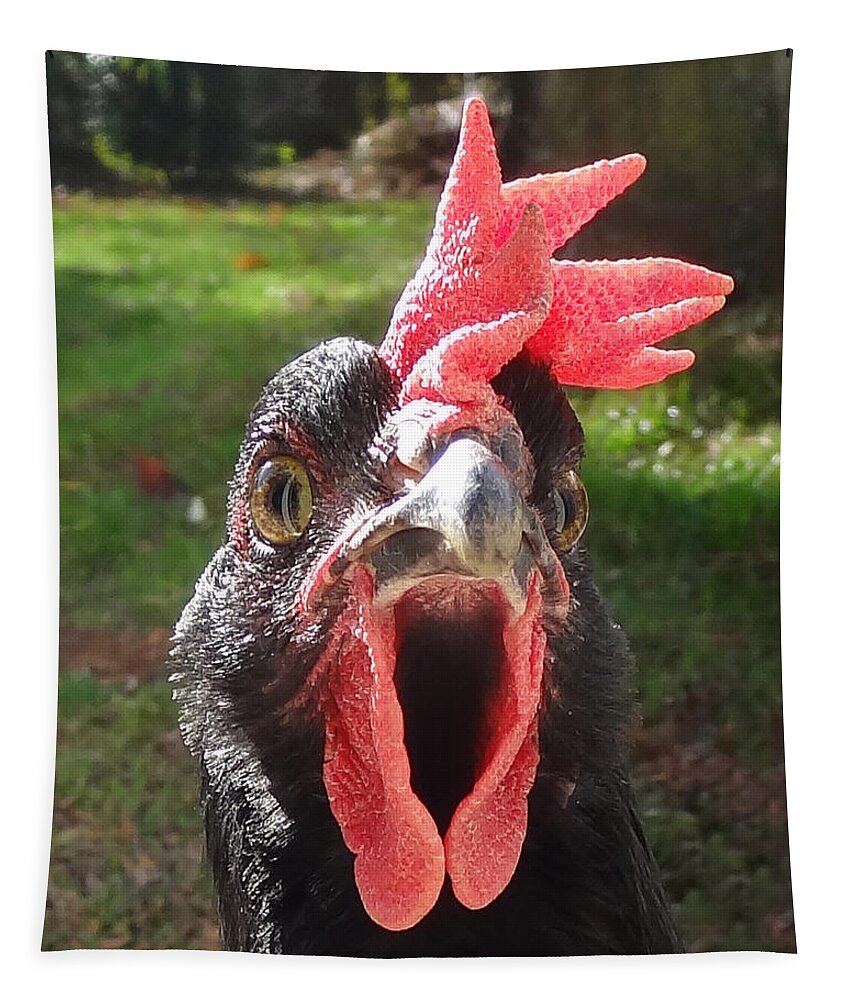 Hen Tapestry featuring the photograph Funny Hen by Joelle Philibert