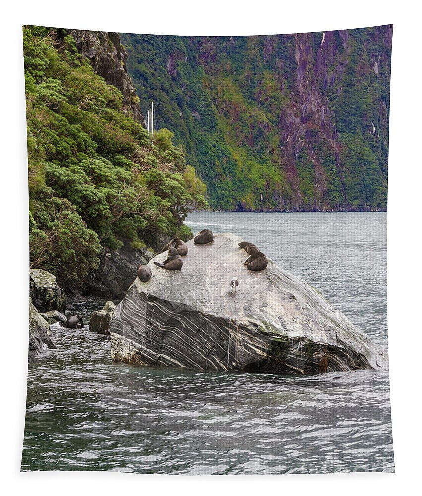 Animals Tapestry featuring the photograph Fur Seals at Milford Sound, New Zealand #2 by Elaine Teague