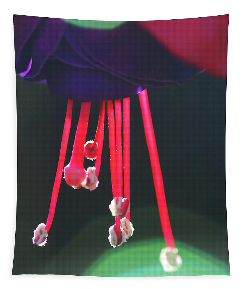 Stephanie Gambini Tapestry featuring the photograph Fuchsia #8 by Stephanie Gambini