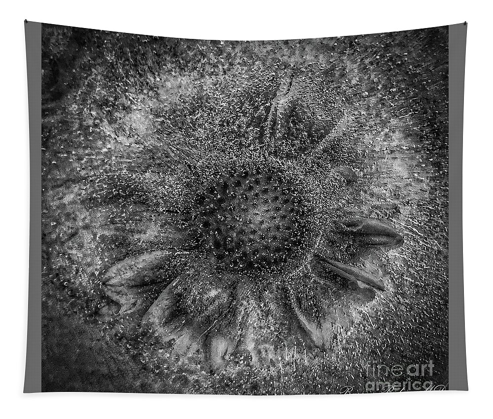 Nature Tapestry featuring the photograph Gaillardia frozen BW by Barry Bohn