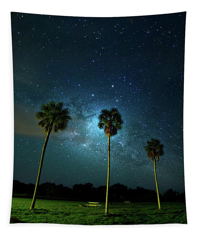 Milky Way Tapestry featuring the photograph Galaxy Palms by Mark Andrew Thomas