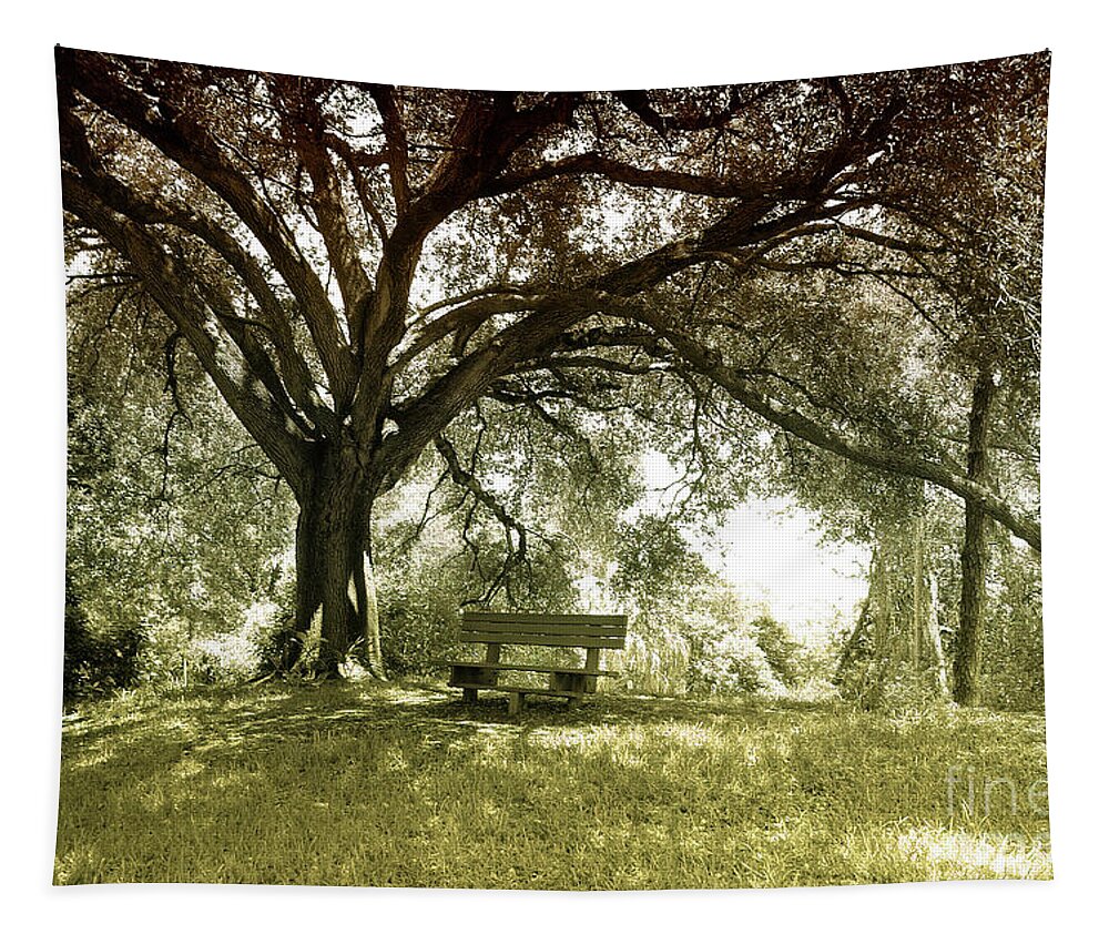 Garden Bench Tapestry featuring the photograph Garden Bench by Felix Lai