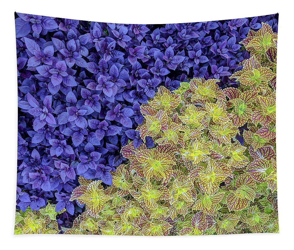 Purple Knight Tapestry featuring the photograph Garden Foliage Diptych 2 by Adam Romanowicz