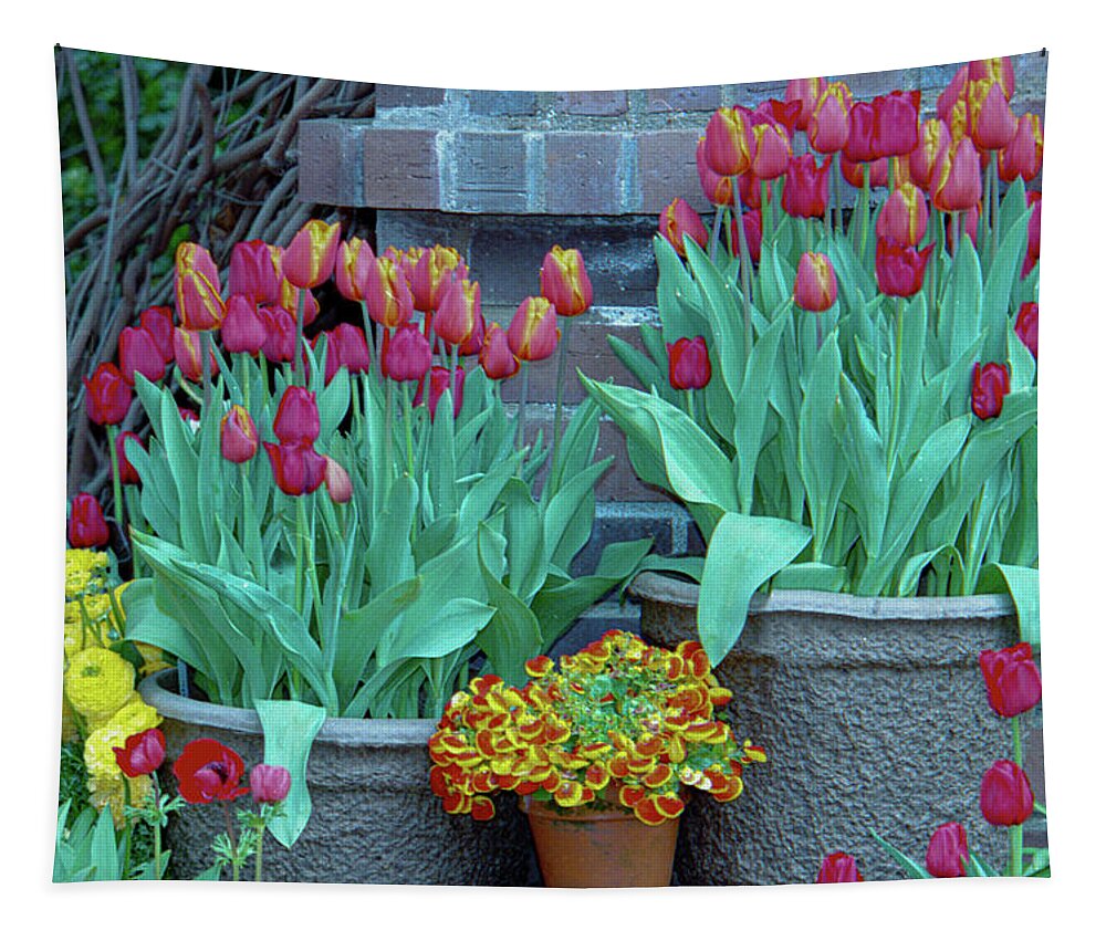 Tulips Tapestry featuring the photograph Garden Tulips in Containers by Bonnie Colgan