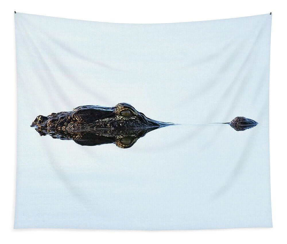 Alligator Tapestry featuring the photograph Gator by Rebecca Herranen