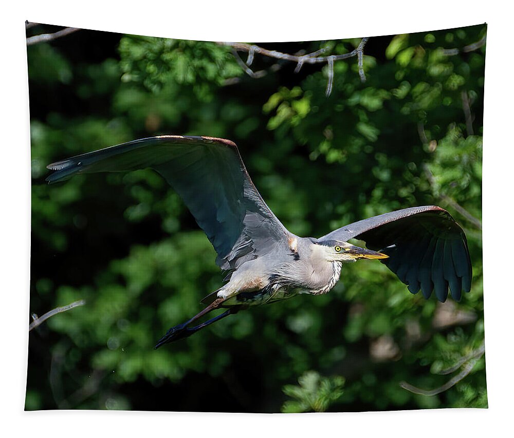 Heron Tapestry featuring the photograph GBH Fly-by by Flinn Hackett