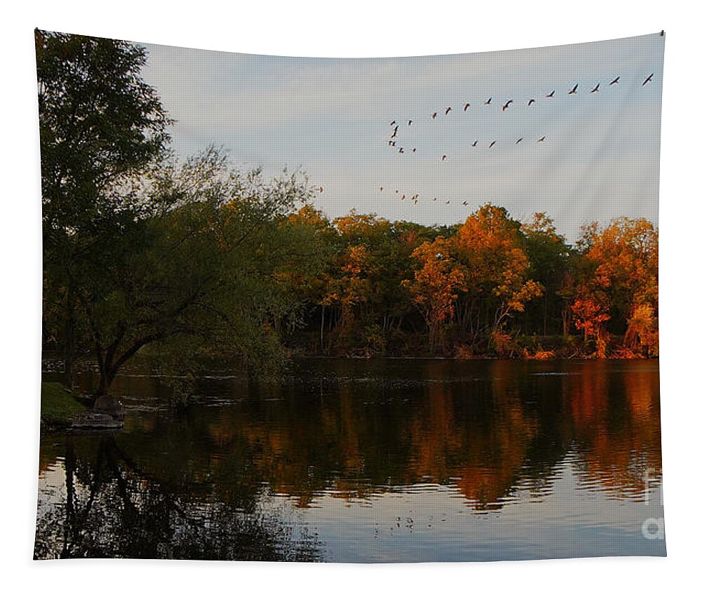 Wny Bond Lake Pond Tapestry featuring the photograph Geese over Bond Lake by fototaker Tony