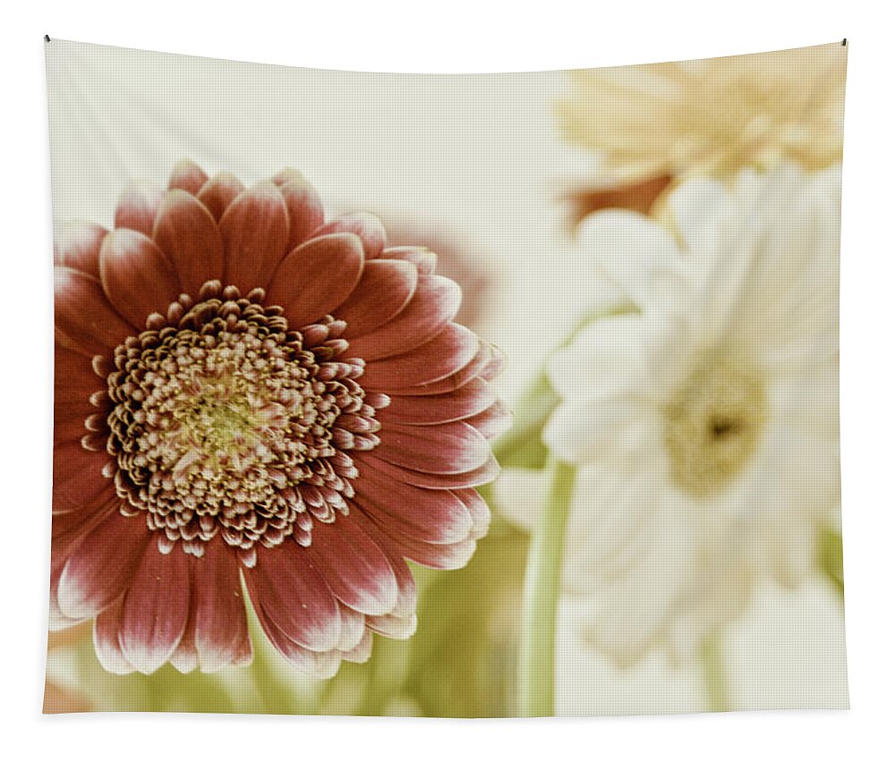 Kamloops Photographer Tapestry featuring the photograph Gerbera Still Life 1 by Linda McRae