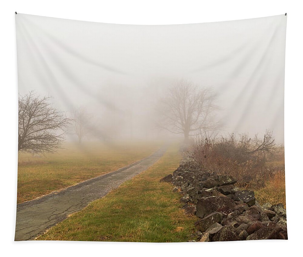 Road Tapestry featuring the photograph Gettysburg Battlefield 2020 by Amelia Pearn