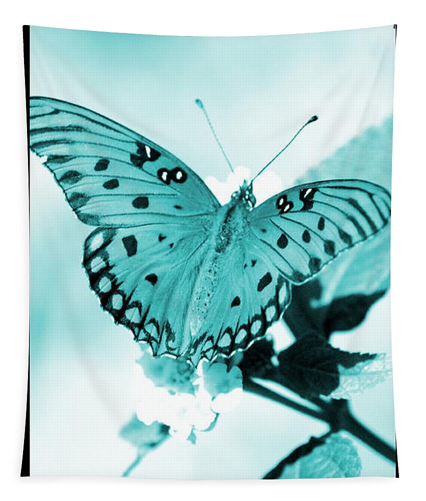 Gulf Tapestry featuring the photograph Gulf Fritillary Butterfly Cyan Filmstrip 3 by David Weeks