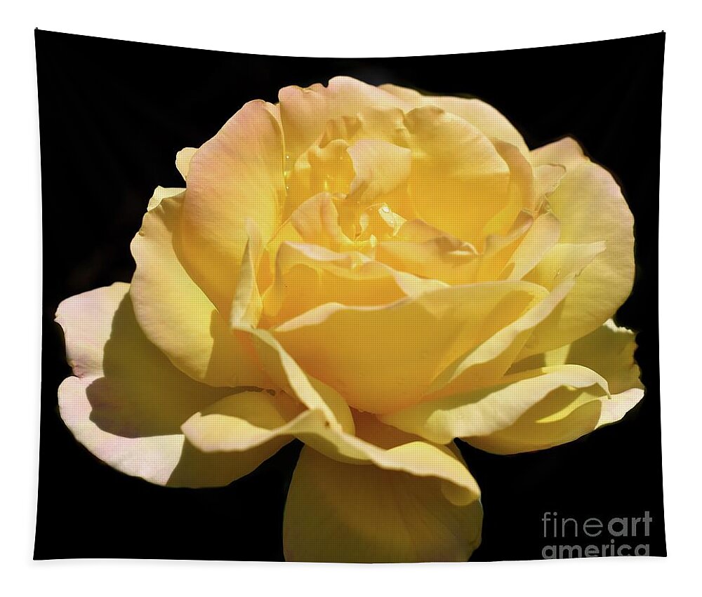 Nature Tapestry featuring the photograph Glorious Day Rose after Rain by Leonida Arte
