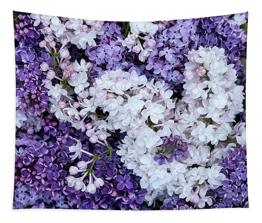 Face Mask Tapestry featuring the photograph Glorious Lilacs by Theresa Tahara