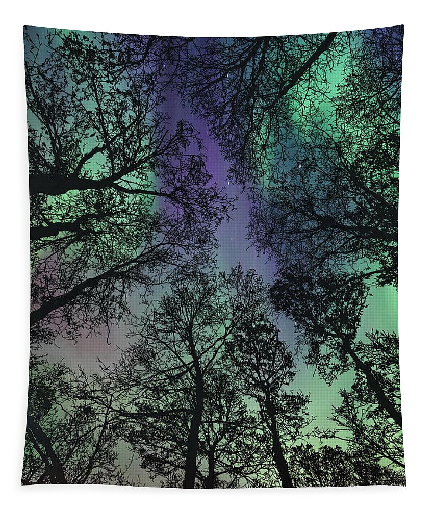 Aurora Borealis Tapestry featuring the photograph Glorious Skies by Andrea Kollo