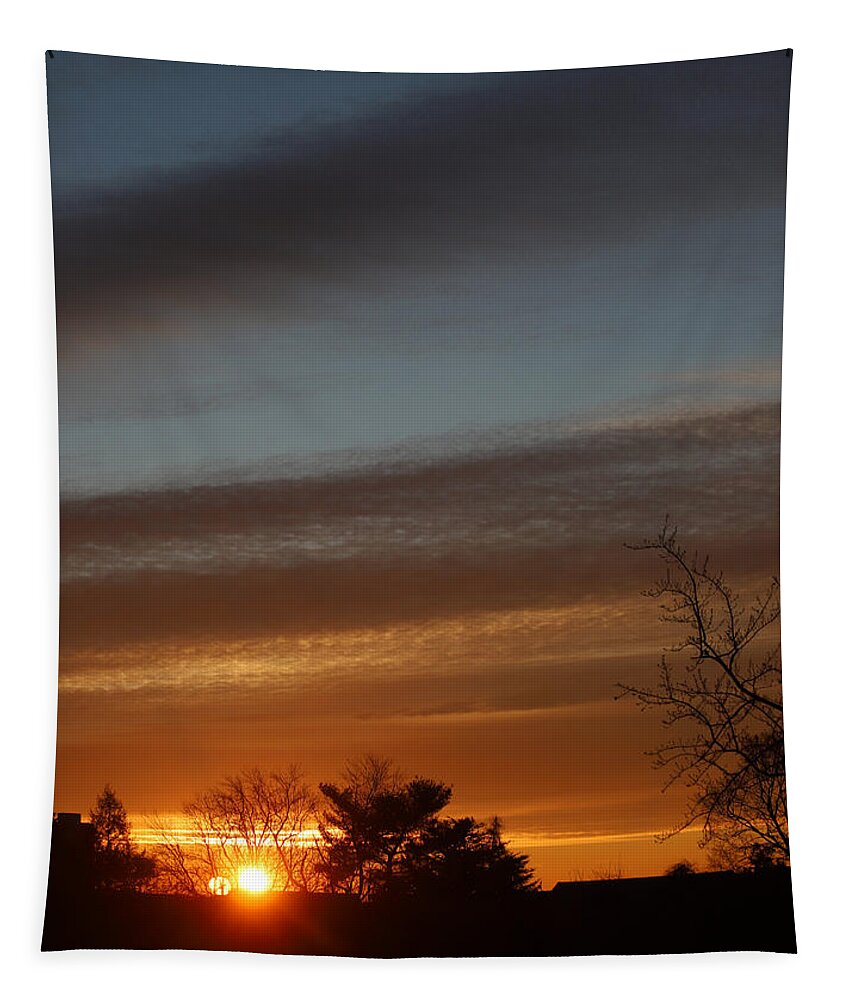 Morning Tapestry featuring the photograph Glory of the Morning February 6 2021 by Miriam A Kilmer