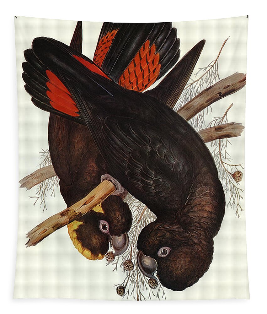 Black Cockatoo Tapestry featuring the mixed media Glossy Black Cockatoo by World Art Collective