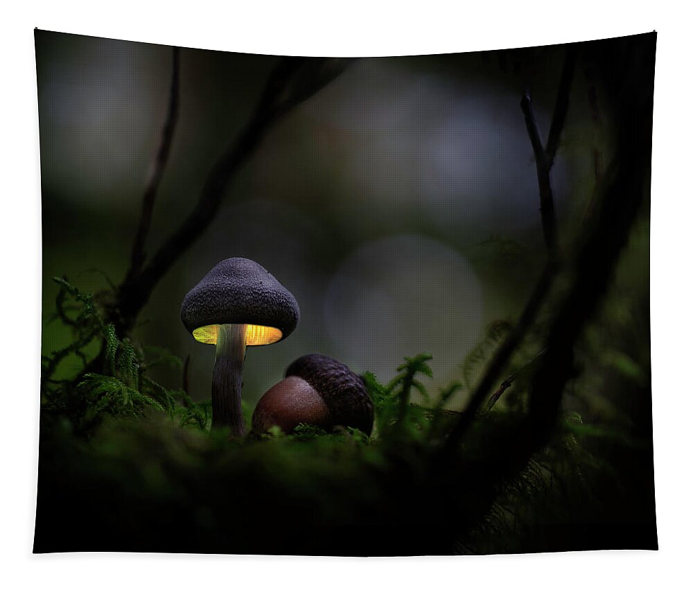 Autumn Tapestry featuring the photograph Glowing mushroom fantasy by Dirk Ercken