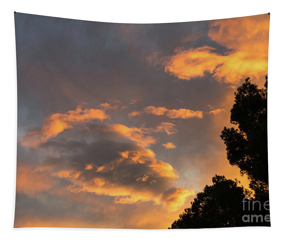Clouds Tapestry featuring the photograph Glowing sky by Adriana Mueller