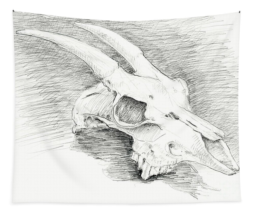 Draw Tapestry featuring the drawing Goat skull drawing black and white by Adam Long