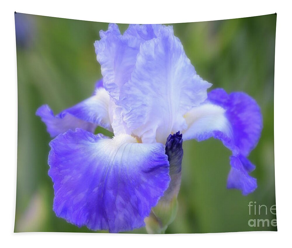 Iris Tapestry featuring the photograph Goddess Iris by Norma A Lahens