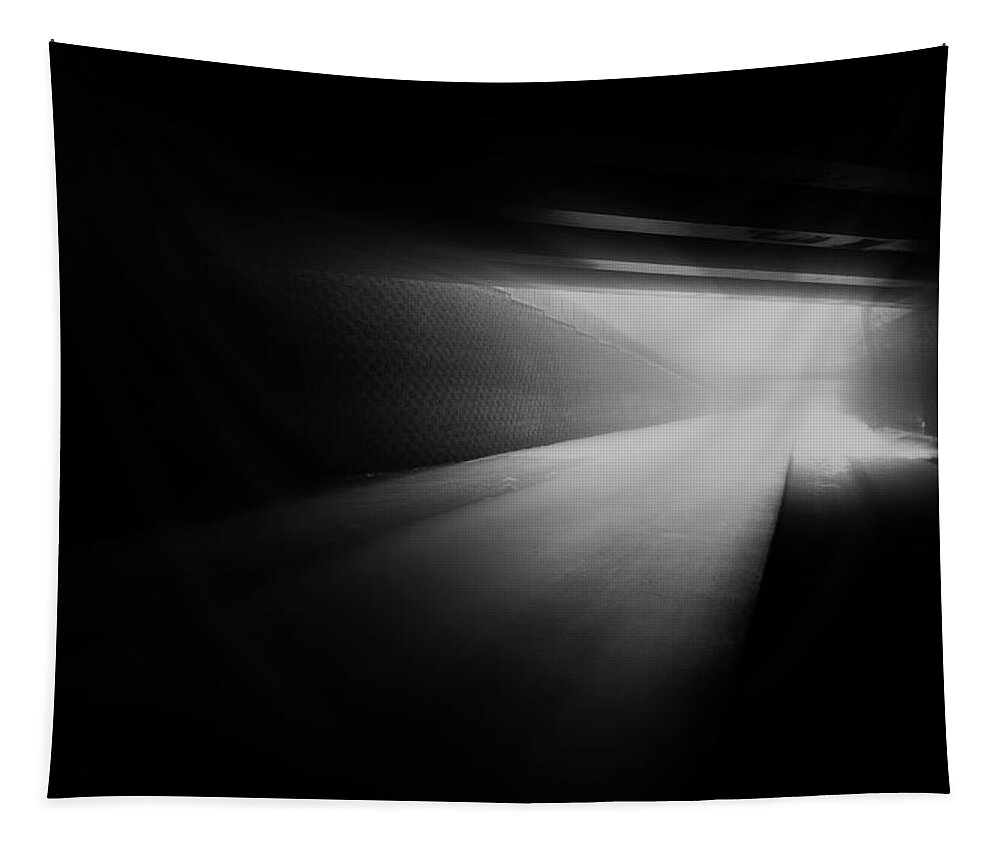 Foggy Tapestry featuring the photograph Going to the Unknown by Scott Norris