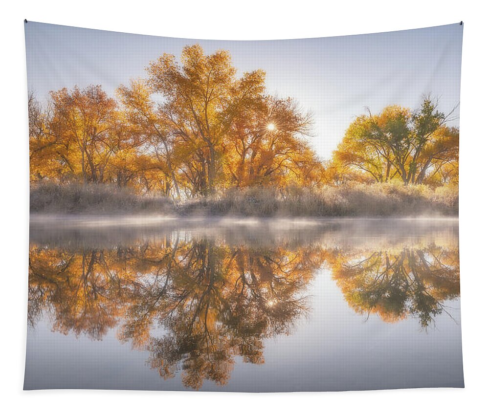 Fall Tapestry featuring the photograph Gold In the Trees by Darren White