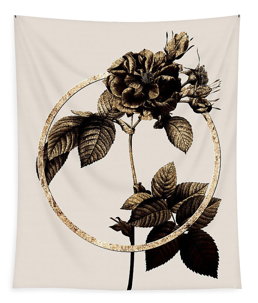 Vintage Tapestry featuring the painting Gold Ring Pink Francfort Rose Botanical Illustration Black and Gold n.0384 by Holy Rock Design