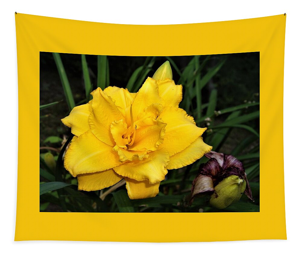 Flower Tapestry featuring the photograph Gold Ruffled Day Lily by Nancy Ayanna Wyatt
