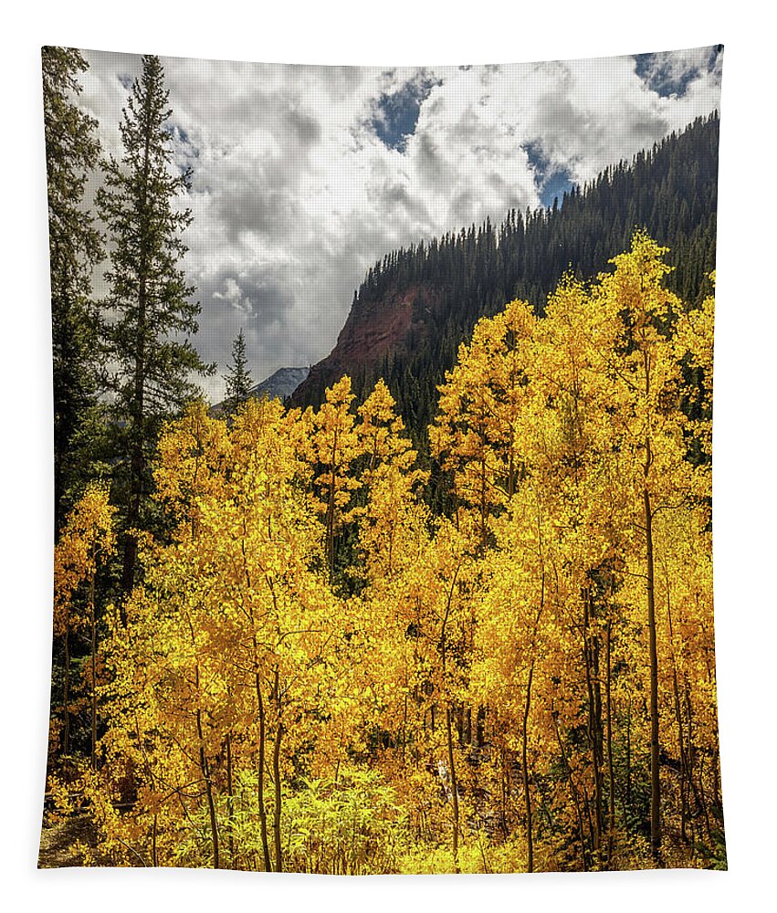 Fall Tapestry featuring the photograph Golden Aspen on the trail to Ice Lake by Bradley Morris