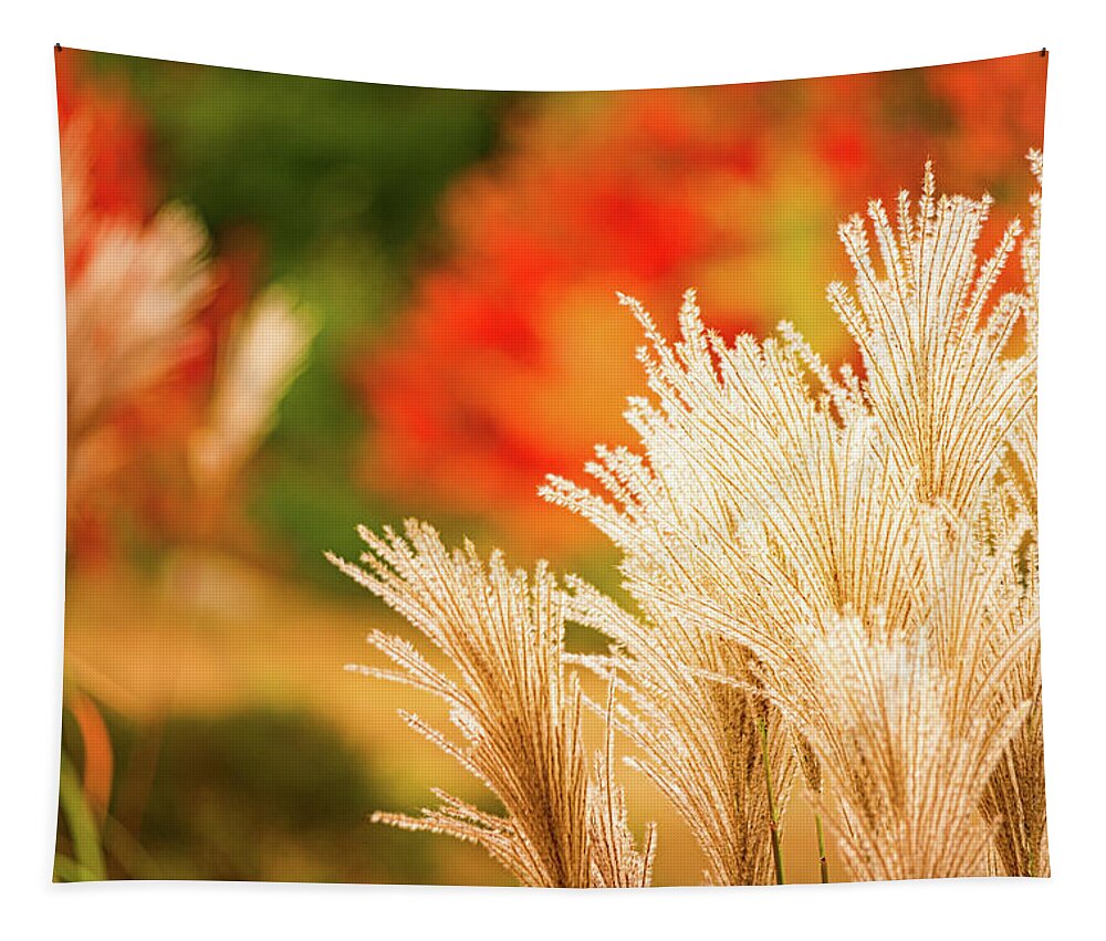 New Hampshire Tapestry featuring the photograph Golden Autumn Grass by Jeff Sinon