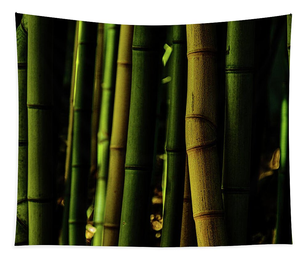 Golden Bamboo Tapestry featuring the photograph Golden Bamboo by Johnny Boyd