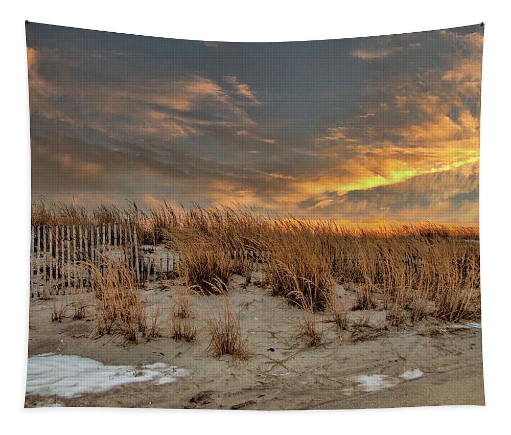 Beach Tapestry featuring the photograph Golden Beach by Cathy Kovarik
