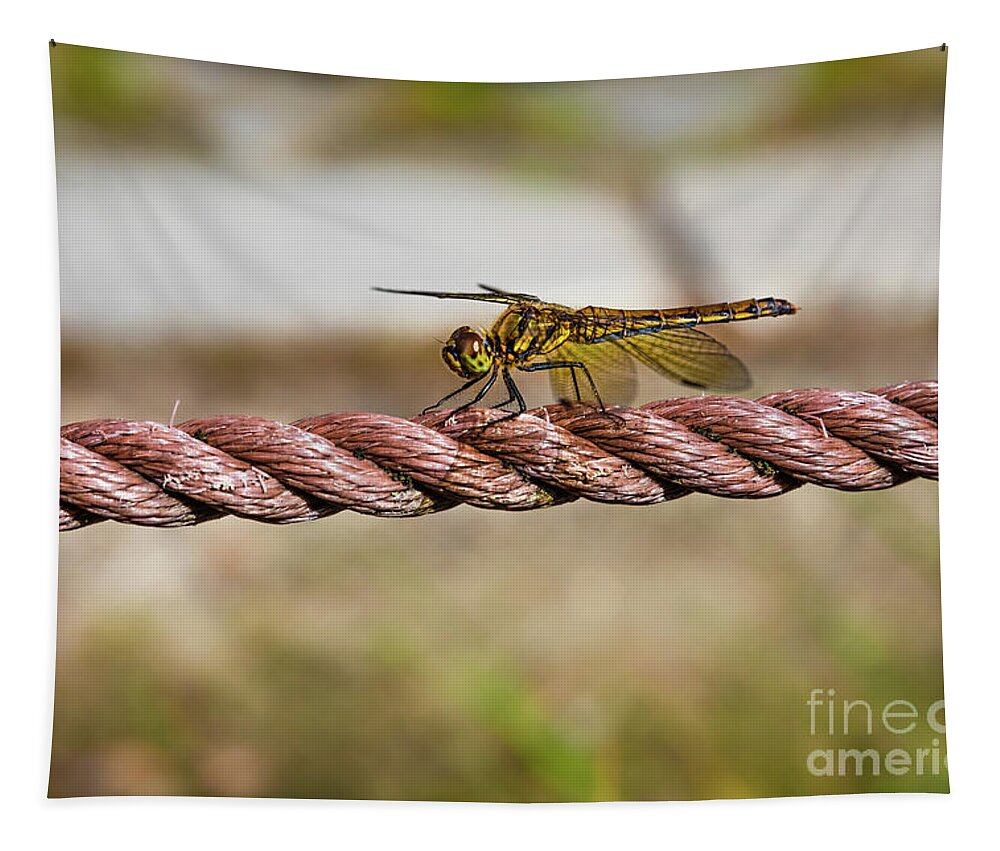 Dragonfly Tapestry featuring the photograph Golden dragonfly by Lyl Dil Creations
