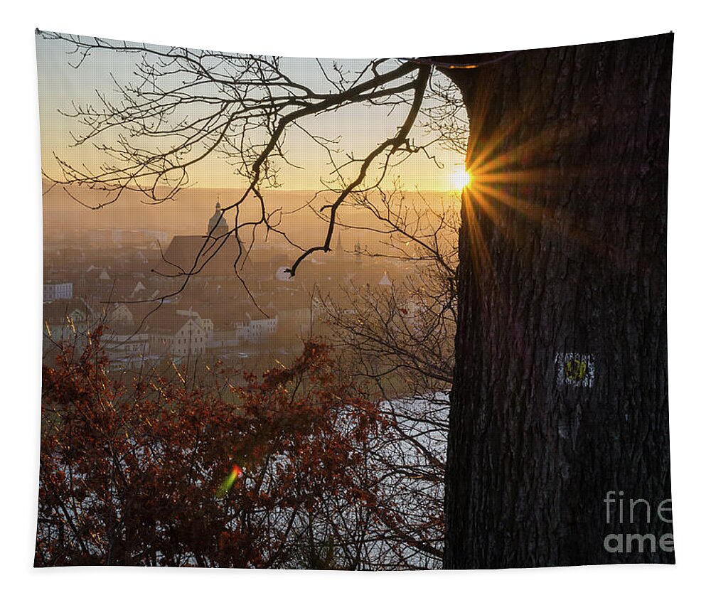 Sunset Tapestry featuring the photograph Golden evening light 2 by Adriana Mueller