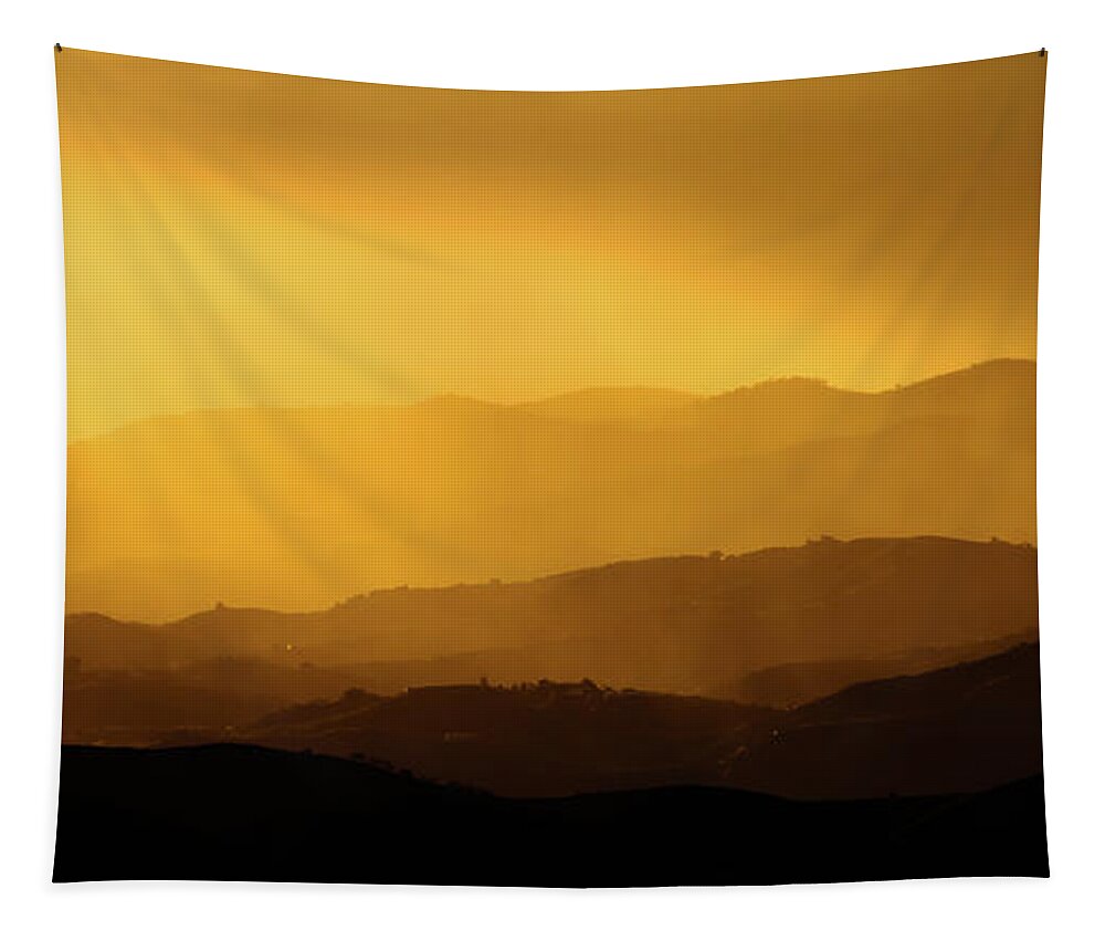 Golden Tapestry featuring the photograph Golden by Gary Browne