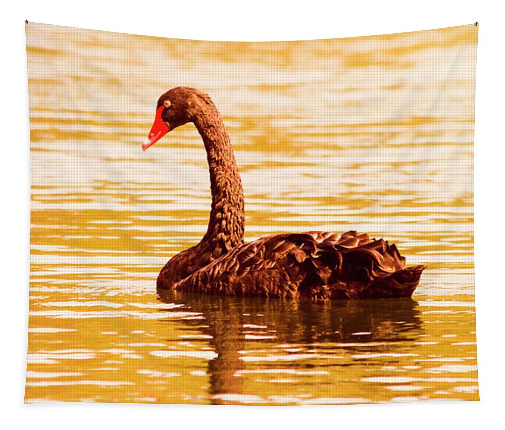 Swans Tapestry featuring the photograph Golden lakes by Jorgo Photography