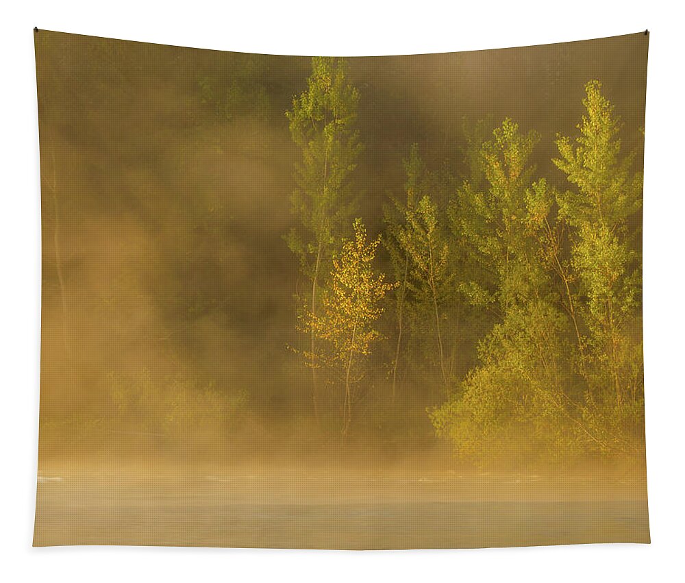 Landscape Tapestry featuring the photograph Golden light by Davorin Mance