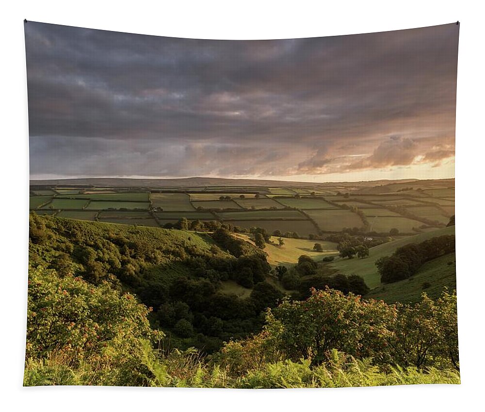 Exmoor National Park Tapestry featuring the photograph Golden Light over the Punchbowl, Exmoor, England, UK by Sarah Howard