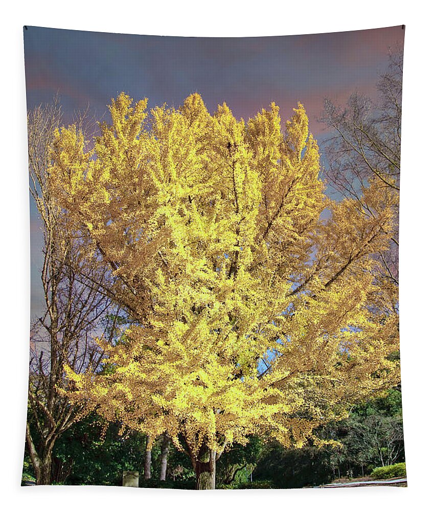 Autumn Tapestry featuring the photograph Golden Linden Tree Under Autumn Sky by Darryl Brooks
