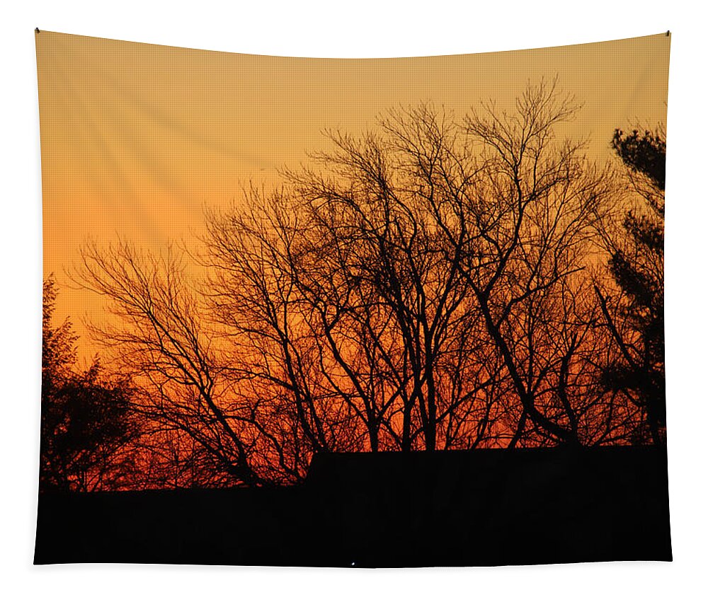Sunrise Tapestry featuring the photograph Golden Morning February 8 2021 by Miriam A Kilmer