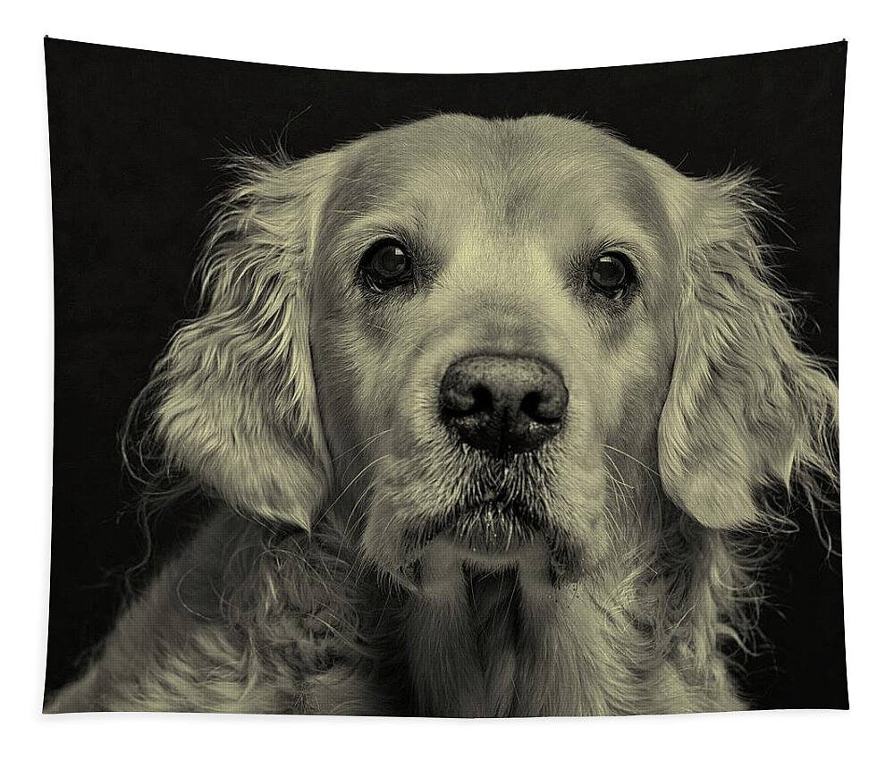 Golden Retriever Tapestry featuring the photograph Golden by Richard Downs