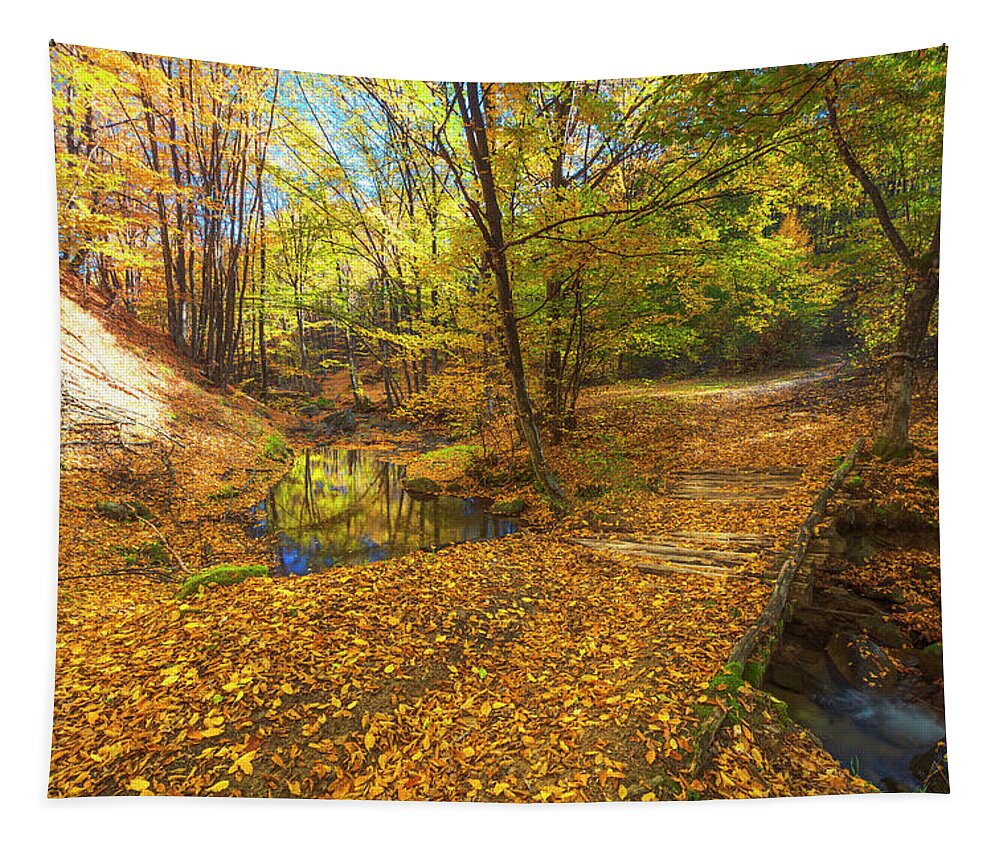 Bulgaria Tapestry featuring the photograph Golden River by Evgeni Dinev