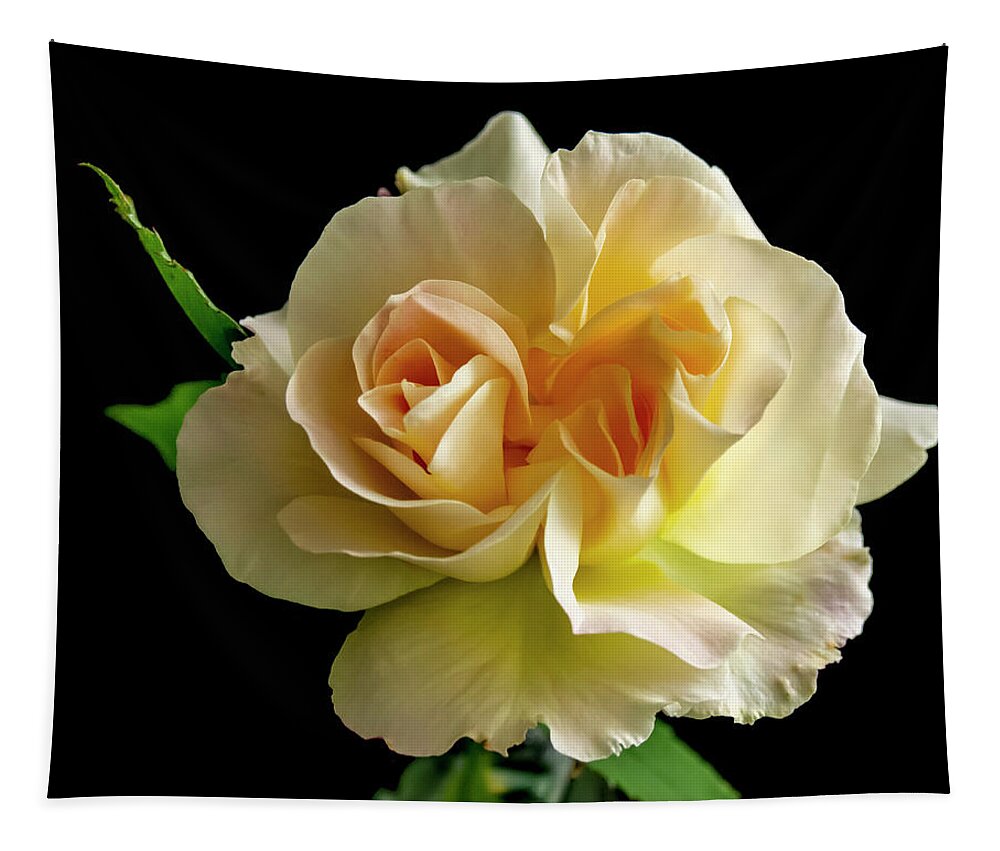 Flower Tapestry featuring the photograph Golden Rose by Cathy Kovarik