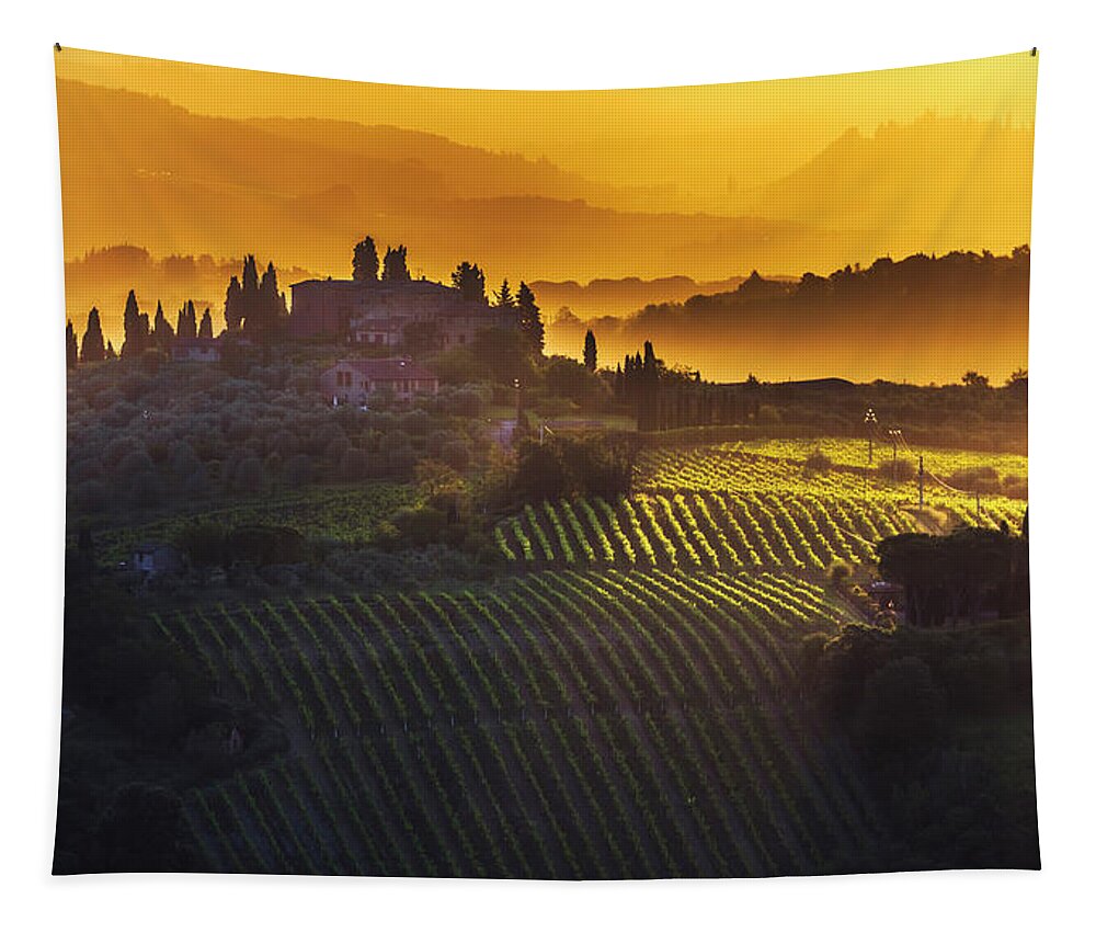 Italy Tapestry featuring the photograph Golden Tuscany by Evgeni Dinev