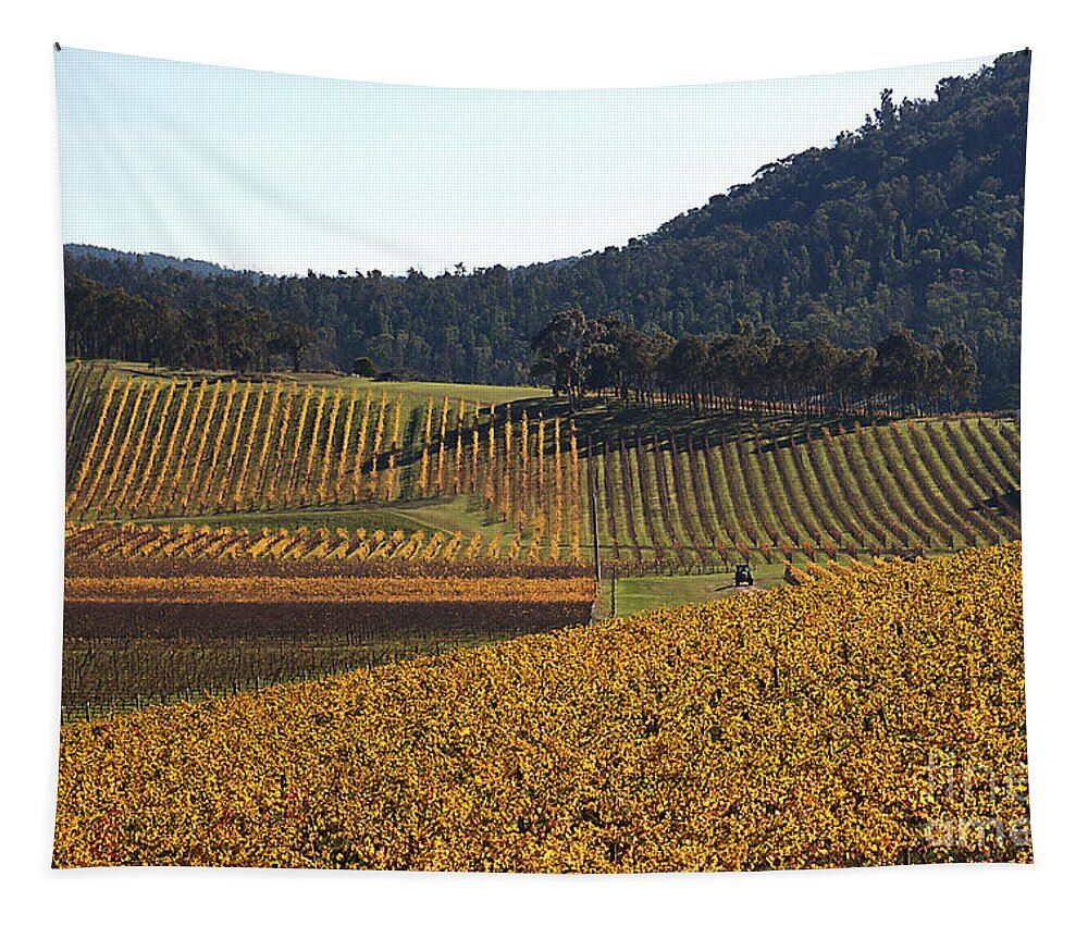  Joy Watson Tapestry featuring the photograph golden vines-Victoria-Australia by Joy Watson